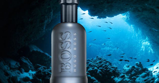 Der Beste Hugo Boss Boss Bottled Dupe: Magic Hugo No. 223