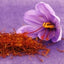 Safran