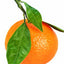 Mandarine Orange